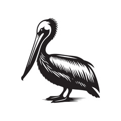 Minimal Brown pelican Vector - Brown pelican Silhouette - Black and White Brown pelican bird art - Brown pelican Illustration.