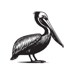 Minimal Brown pelican Vector - Brown pelican Silhouette - Black and White Brown pelican bird art - Brown pelican Illustration.