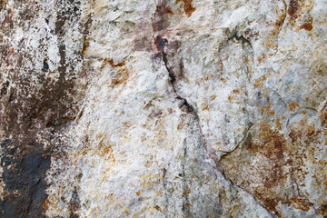 Textured Surface of a Natural Rock Formation in Earthy Tones