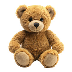 Obraz premium teddy bear isolated