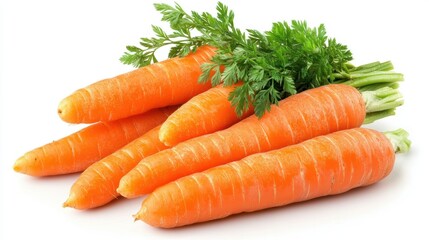 A bunch of fresh carrots with leaves isolated on a pure white background, realistic lighting and shadow, ideal for cut-out and compositing