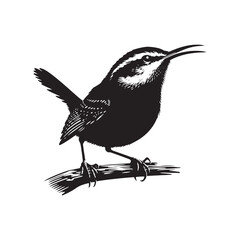 Carolina wren Vector Silhouette - Carolina wren Minimal ART - Illustration of Carolina wren.