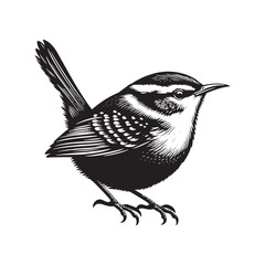 Carolina wren Vector Silhouette - Carolina wren Minimal ART - Illustration of Carolina wren.
