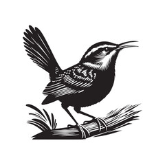Carolina wren Vector Silhouette - Carolina wren Minimal ART - Illustration of Carolina wren.