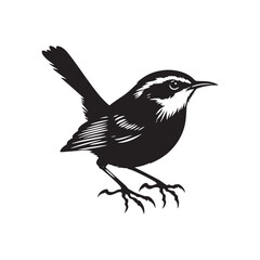 Carolina wren Vector Silhouette - Carolina wren Minimal ART - Illustration of Carolina wren.