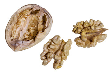 two walnut kernels nestled beside a halved, overturned shell, revealing their wrinkled, brain-like texture. The exposed inner surface of the shell contrasts with the rich, golden-brown nut