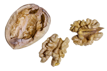 two walnut kernels nestled beside a halved, overturned shell, revealing their wrinkled, brain-like texture. The exposed inner surface of the shell contrasts with the rich, golden-brown nut