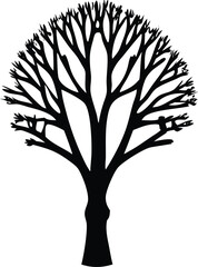 Obraz premium A black vector silhouette of a tree, an illustration of nature's plant with branches, stands as an artful icon representing growth