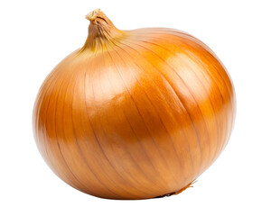 onion isolated on white background