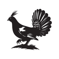 Minimalist Capercaillie bird Silhouette - Capercaillie Vector - Illustration of Capercaillie bird - Black and White Capercaillie bird Design.