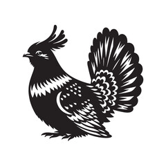 Minimalist Capercaillie bird Silhouette - Capercaillie Vector - Illustration of Capercaillie bird - Black and White Capercaillie bird Design.