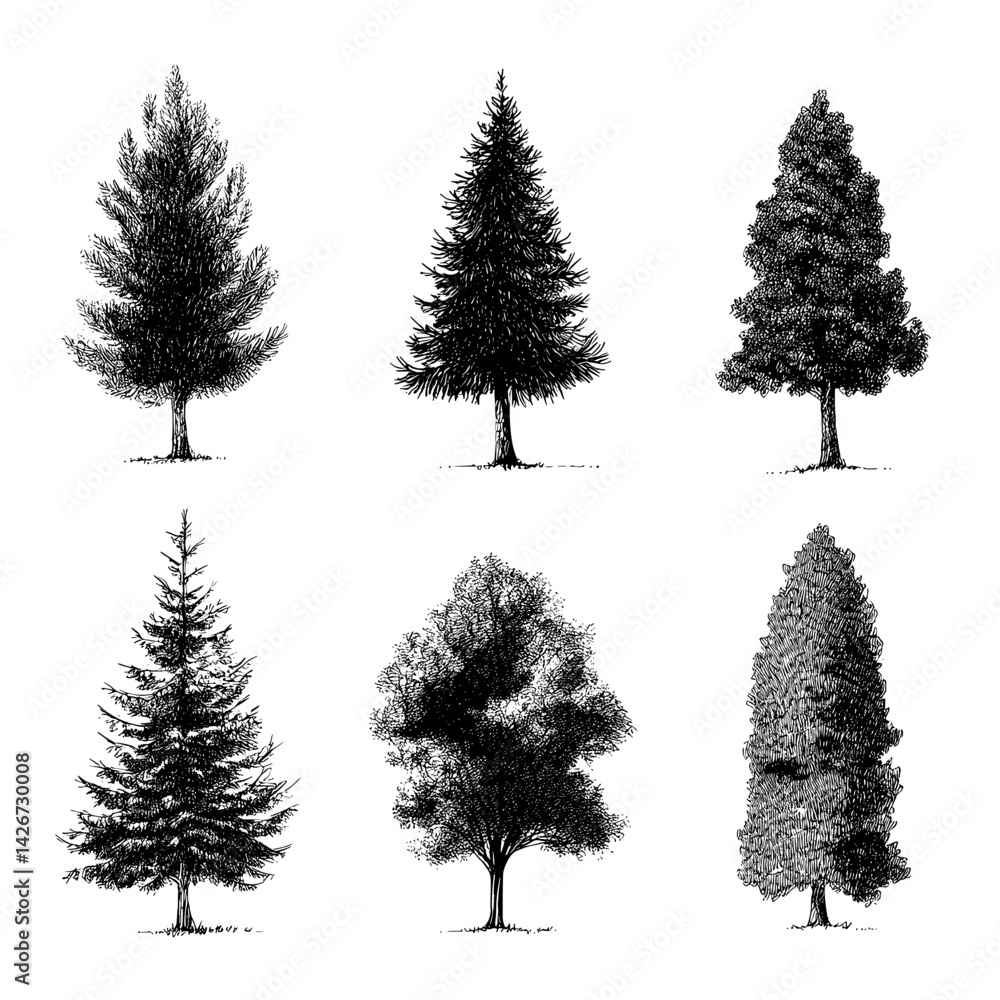 Aufkleber stylized vector illustrations of six different tree types showcasing variety in shape and form