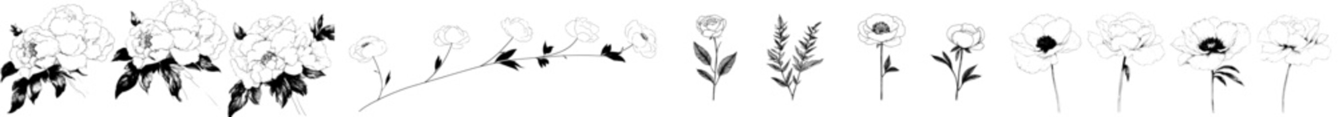 Naklejka premium Botanical icon vector illustration showcasing a variety of flowers and plants in a delicate, artistic design suitable for various creative projects