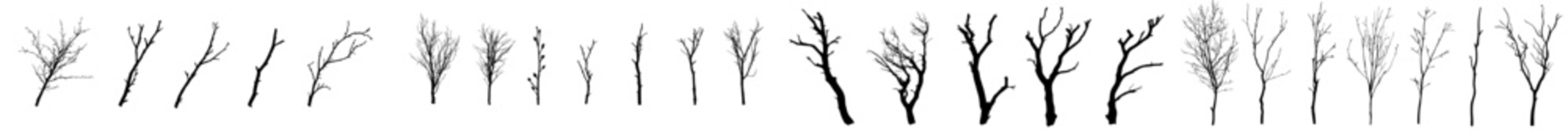 Obraz premium Modern illustration of bare tree branches, a branch with leaves hand drawn in black on a white background, and a winter plant silhouette