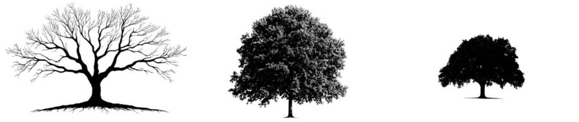 Fototapeta premium Modern illustration of a black and white tree in woodcut engraving style