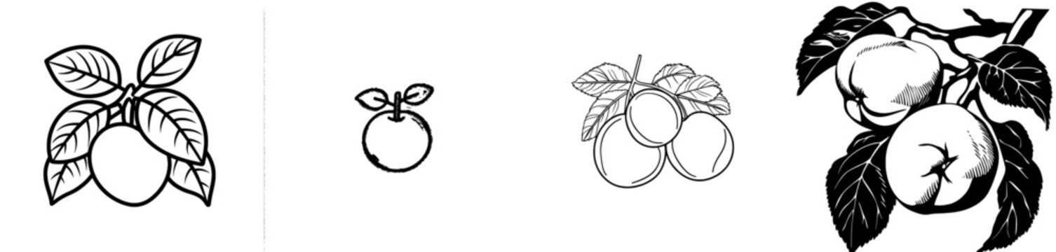 The pulm fruit is depicted in a modern style design with a black color against a white color background