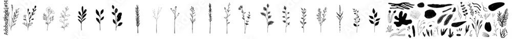 Poster the image features a hand-drawn flower with abstract brush ink strokes, accompanied by a sketch of a