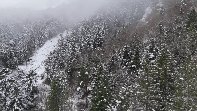 Aerial perspective revealing snow-covered river meandering through winter woodland, pristine white landscape blanketing dense forest terrain