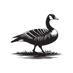 Canada Goose Silhouette - Minimalist Canada Goose Vector - Illustration of Canada Goode Bird - Black and White Canada Goose Art.