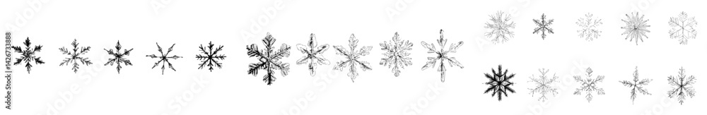 Poster vector illustration of various snowflake designs showcasing intricate patterns and unique shapes in 