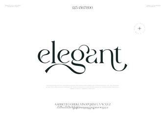 Elegant alphabet letters font and number. Typography Luxury classic lettering serif fonts decorative wedding vintage retro concept. vector illustration