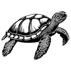 Fototapeta premium turtle, reptile, vector, transparent background, black and white style