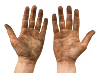 Dirty human hands with greasy grime and oil stains isolated on transparent background
