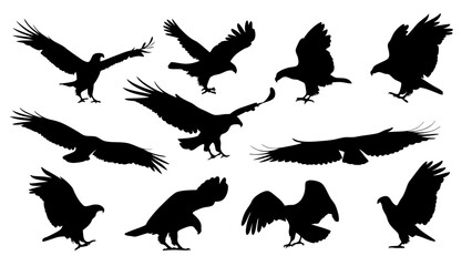 set of eagle silhouette vector on white background