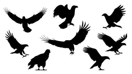 set of eagle silhouette vector on white background