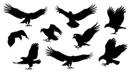 set of eagle silhouette vector on white background