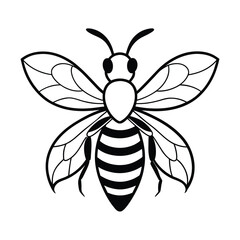 Isolated vector illustration of a minimalist honey bee design with black outline and white background