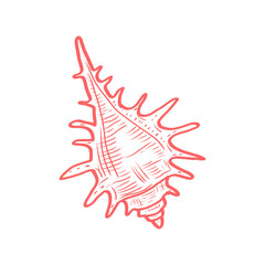 Vector illustration of spiky murex shell in hand drawn red outline. Marine seashell clipart with detailed sketch. Ocean element for summer and beach designs. Spiky murex seashell red outline vector
