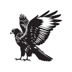 Obraz premium Minimal Buzzard Vector Silhouette - Buzzard Bird Illustration - Buzzard Art - Black and White Buzzard Design.