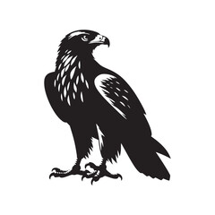 Minimal Buzzard Vector Silhouette - Buzzard Bird Illustration - Buzzard Art - Black and White Buzzard Design.