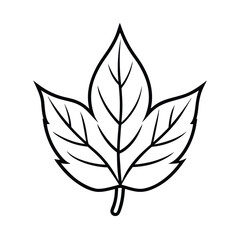 Stylized single leaf illustration in black and white simple outlined design