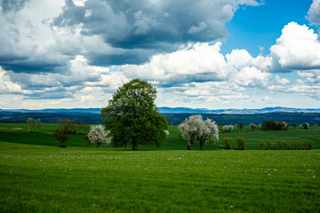 Frühlingshafter Spaziergang an einem herrlichen Sonnentag in der Thüringer Rhön bei...