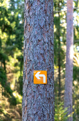Left arrow sign mounted on a tree in a forest, indicating a left turn. A symbol for direction, choice, or decision, with space for text in the natural background.