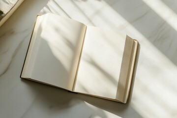A beautifully open book shadow pages publication.