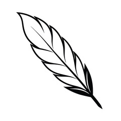 Obraz premium Feather vector illustration isolated minimalist black outline style for decoration and design elements