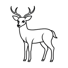 Line art illustration of a cute deer animal with antlers standing gracefully