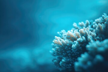 Obraz premium ocean-themed minimalistic image with focus on clean lines and vibrant blues representing marine life diversity