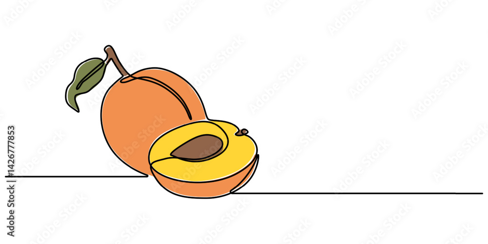 Poster apricot halves continuous one line drawing, drawn by a solid dark line an apricot and a half of an apricot on a background of abstract orange and brown spots on a white background, Apricot pro vector.