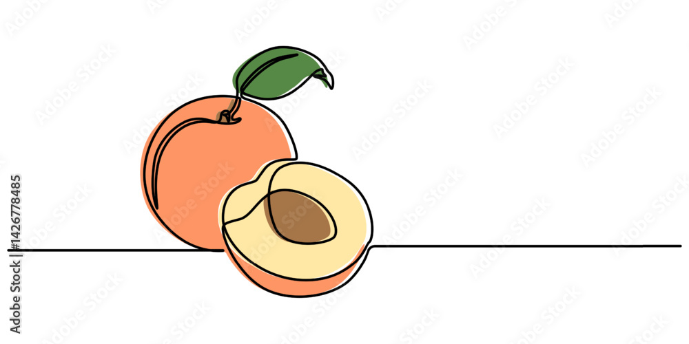 Poster apricot halves continuous one line drawing, drawn by a solid dark line an apricot and a half of an a
