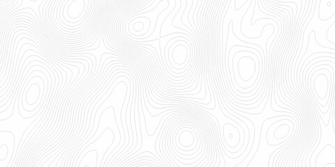 White topography topology vector white background fresh contour map texture. white seamless pattern Abstract background with a wave Topography and geography map grid abstract backdrop.