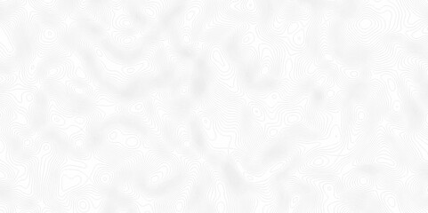 White topography topology vector white background fresh contour map texture. white seamless pattern Abstract background with a wave Topography and geography map grid abstract backdrop.