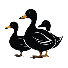 Fototapeta premium Gadwall birds set isolated shilhotee vector on white background