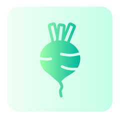 turnip gradient icon