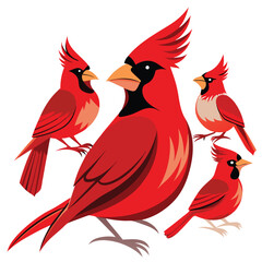 Northern cardinal birds set isolated shilhotee vector on white background