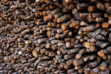 Background of heap firewood stack from Mangrove forest, natural wood, Background of dry chopped firewood logs.