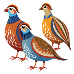 Partridge birds set isolated shilhotee vector on white background © Sanzida